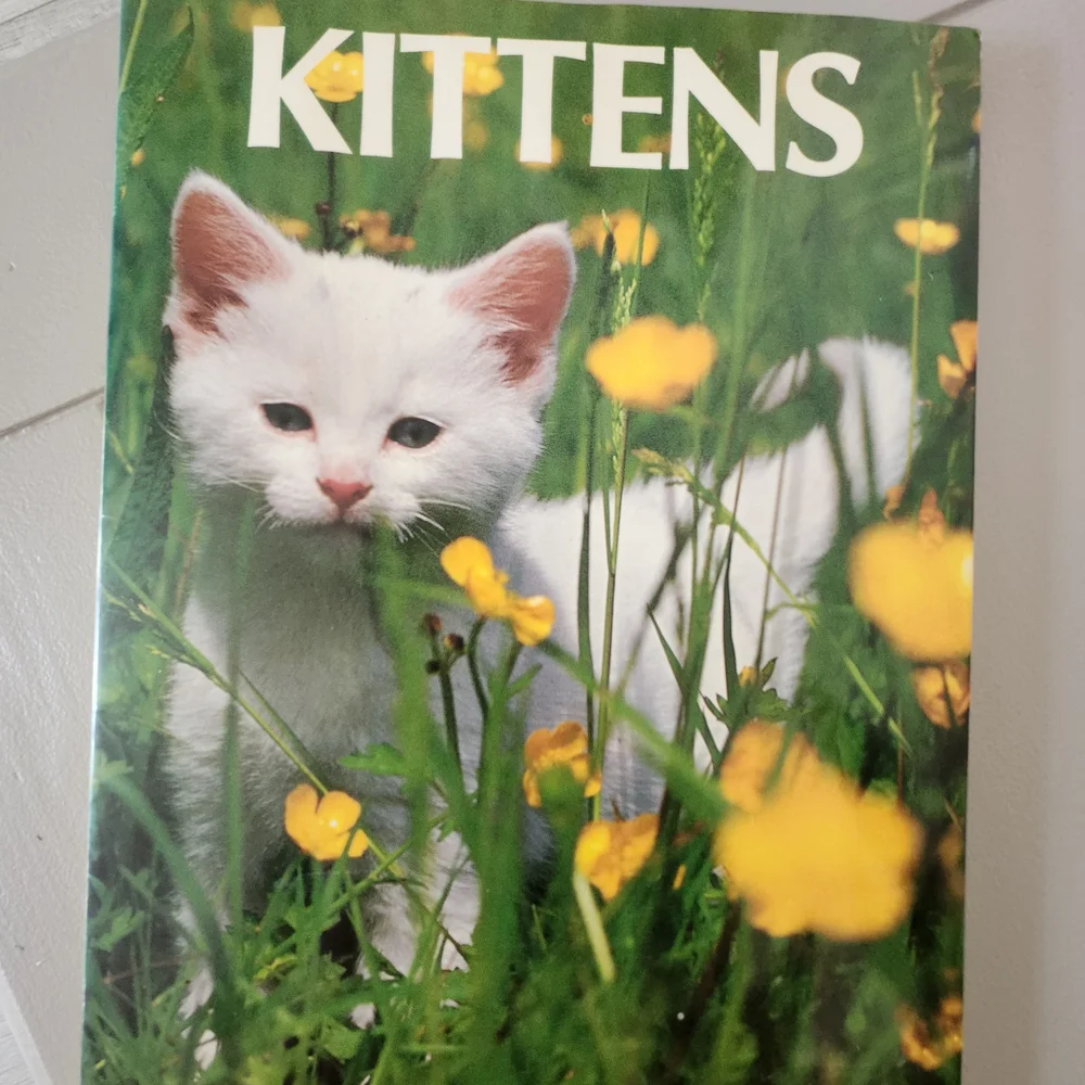 Kittens Book Cover Featuring White Kitten with Yellow Flowers